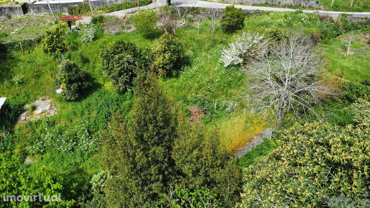 Terreno, 1 150 m², Pessegueiro do Vouga - Grande imagem: 4/13