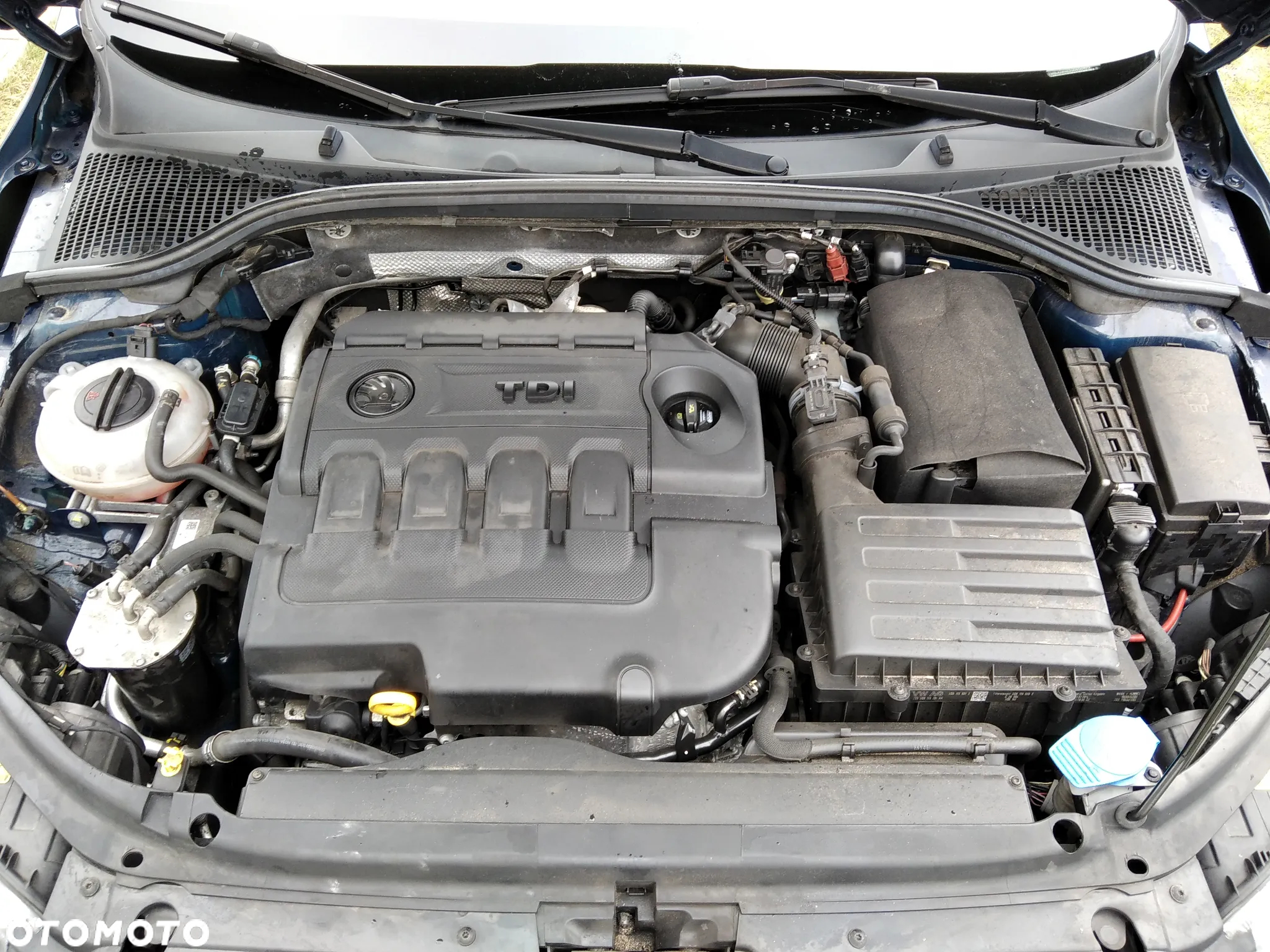 Skoda Octavia Combi 1.6 TDI (Green tec) DSG Ambition - 8
