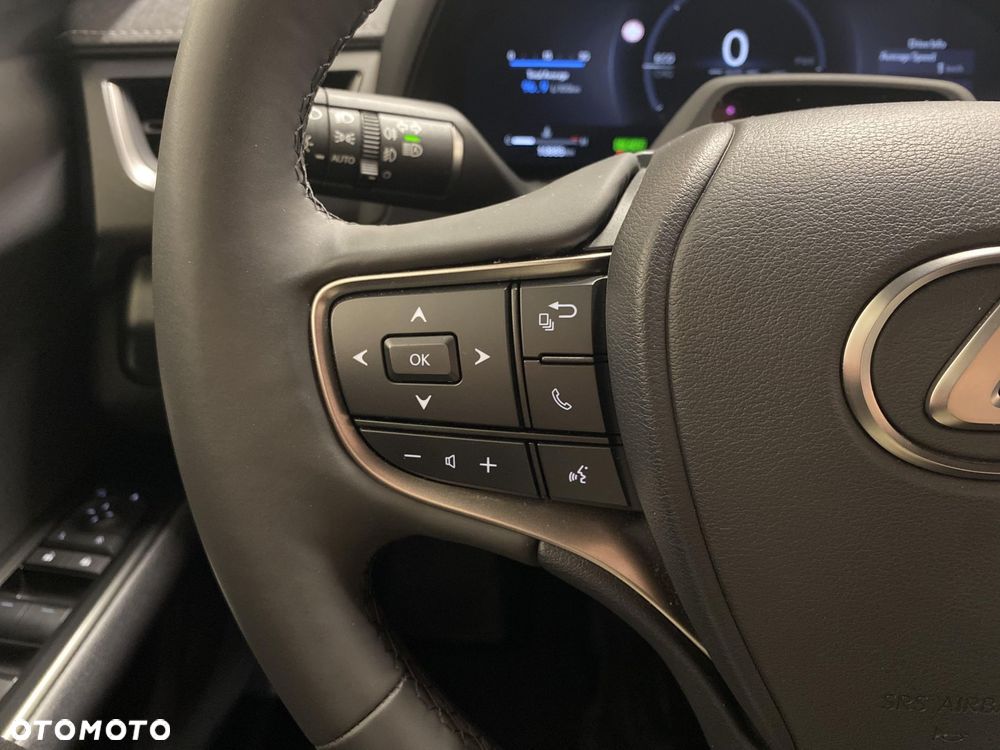 Lexus UX 300h F Sport Design - 12