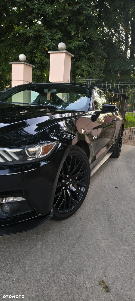 Ford Mustang - 19