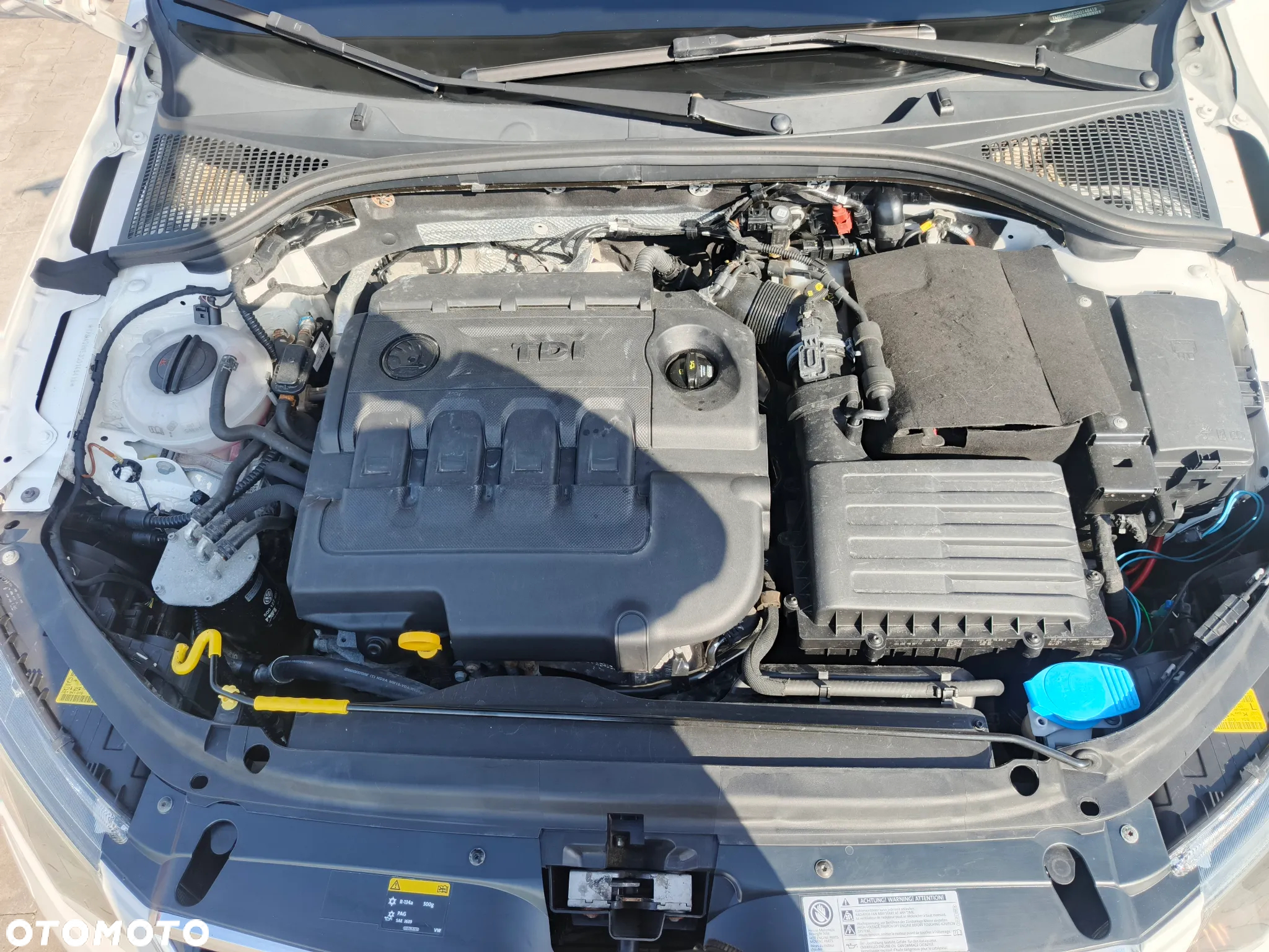 Skoda Octavia 1.6 TDI Greenline - 28