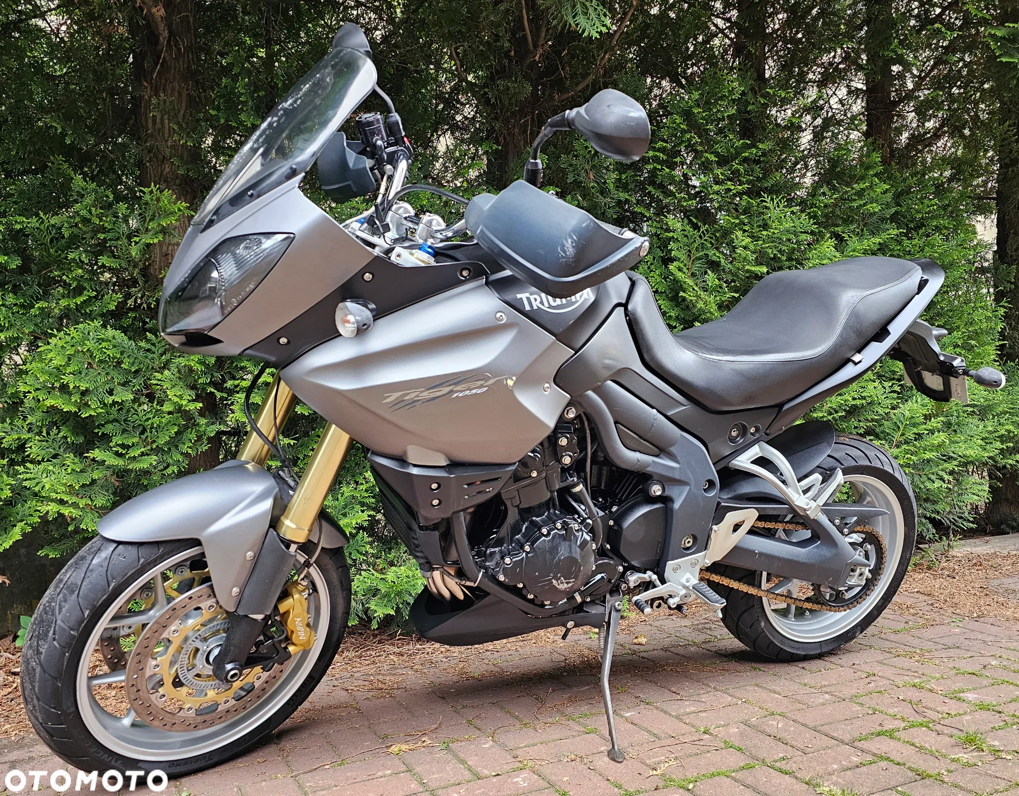 Triumph Tiger - 13