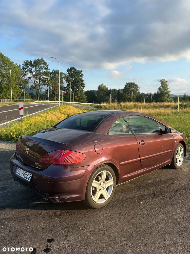 Peugeot 307 CC 2.0 - 11