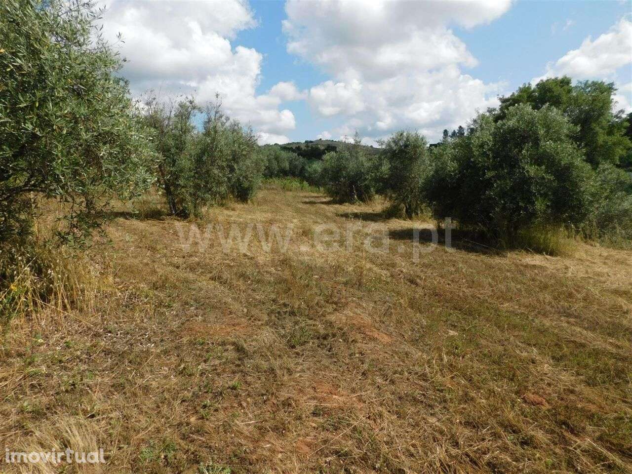 Terreno / Fundão, Alpedrinha - Grande imagem: 3/11