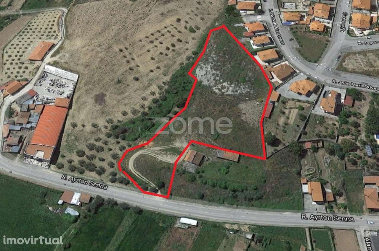 Terreno 12.383m2, Mirandela - Grande imagem: 2/7