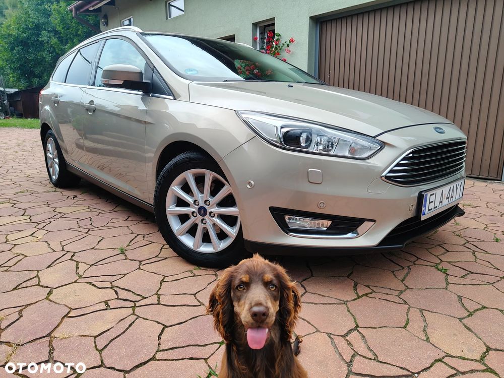 Ford Focus 2015 photo 2