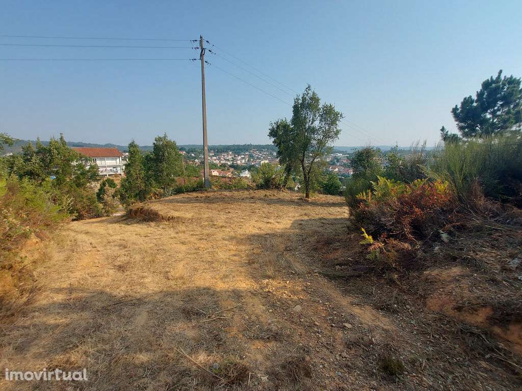 Terreno em Côja - Grande imagem: 2/4