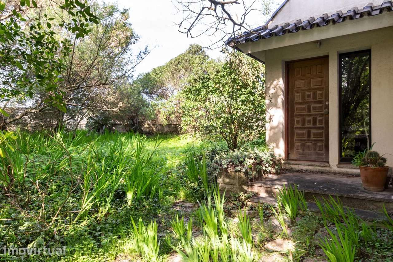 Moradia Isolada T6 com jardim, Birre, Cascais - Grande imagem: 5/34