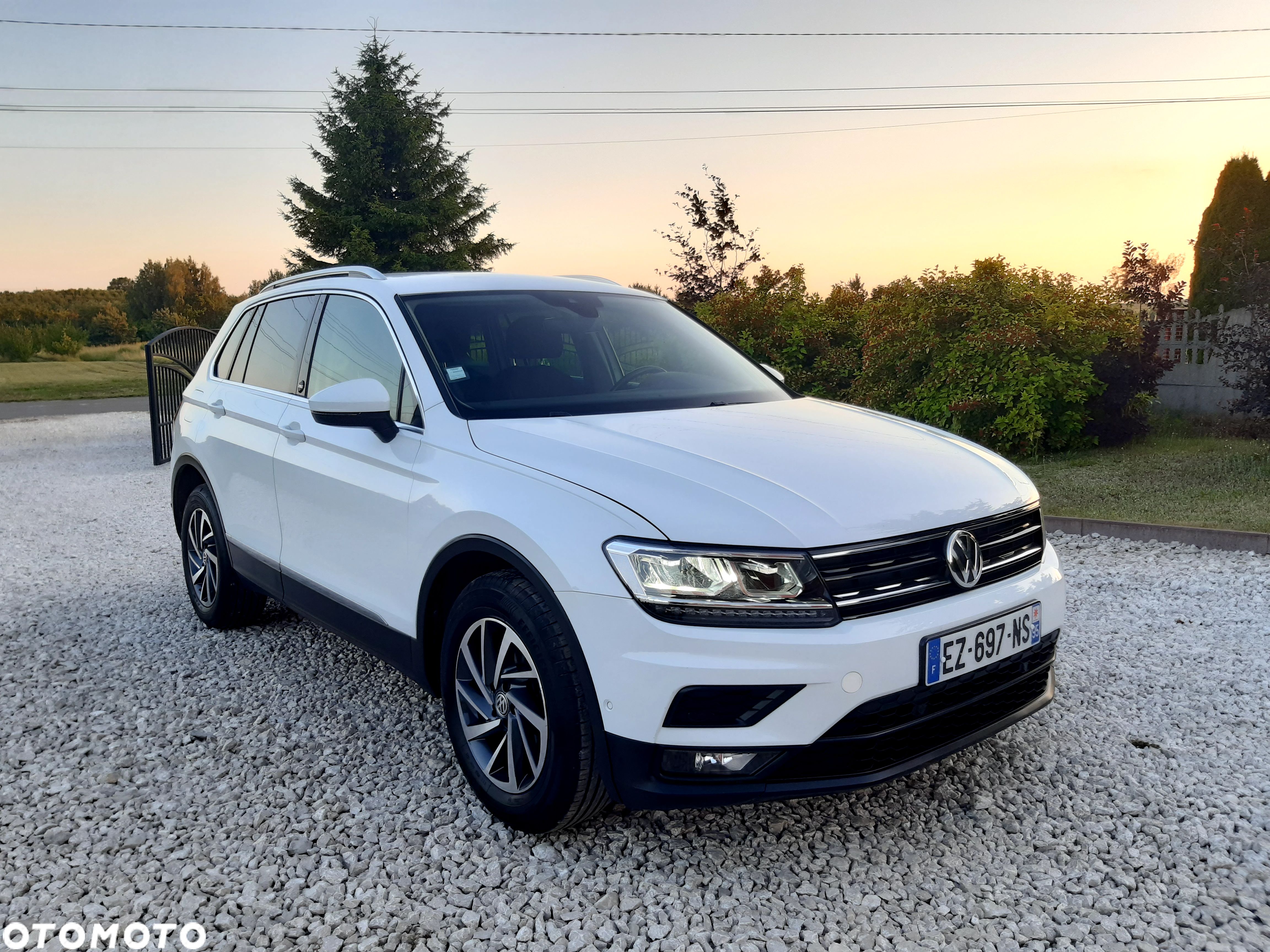 Volkswagen Tiguan - 1