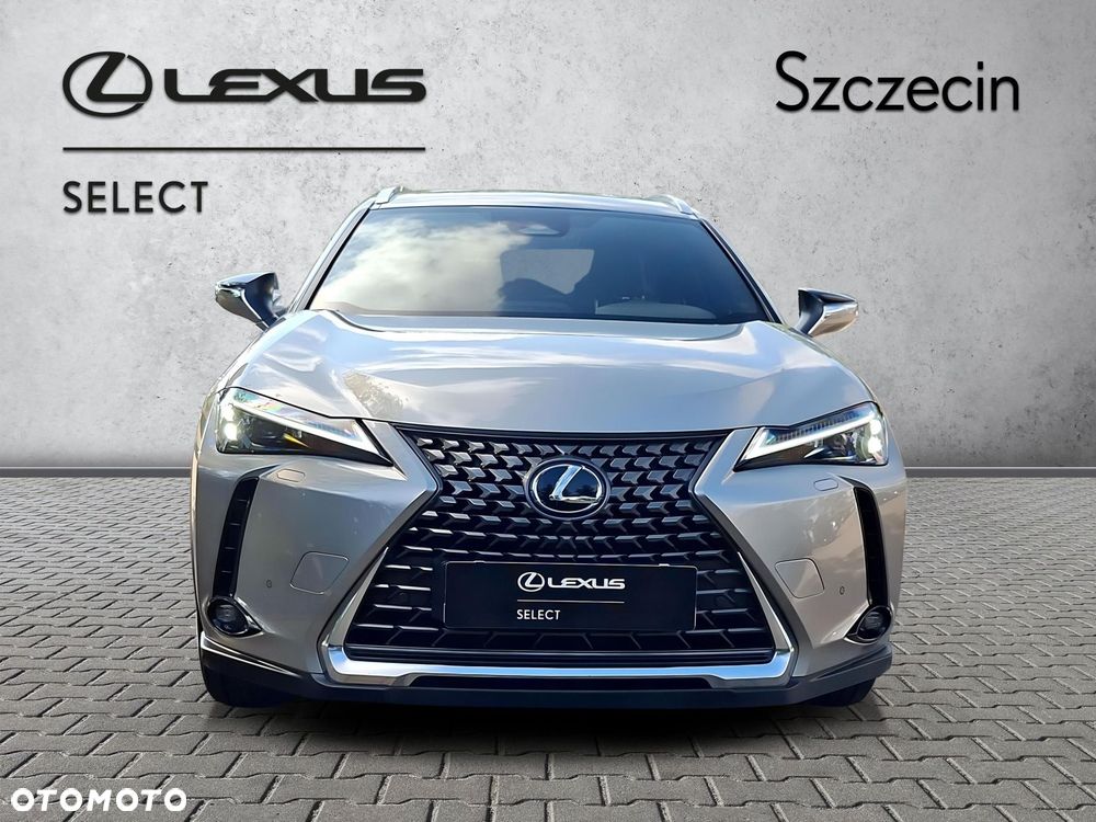Lexus UX 300h Business - 8