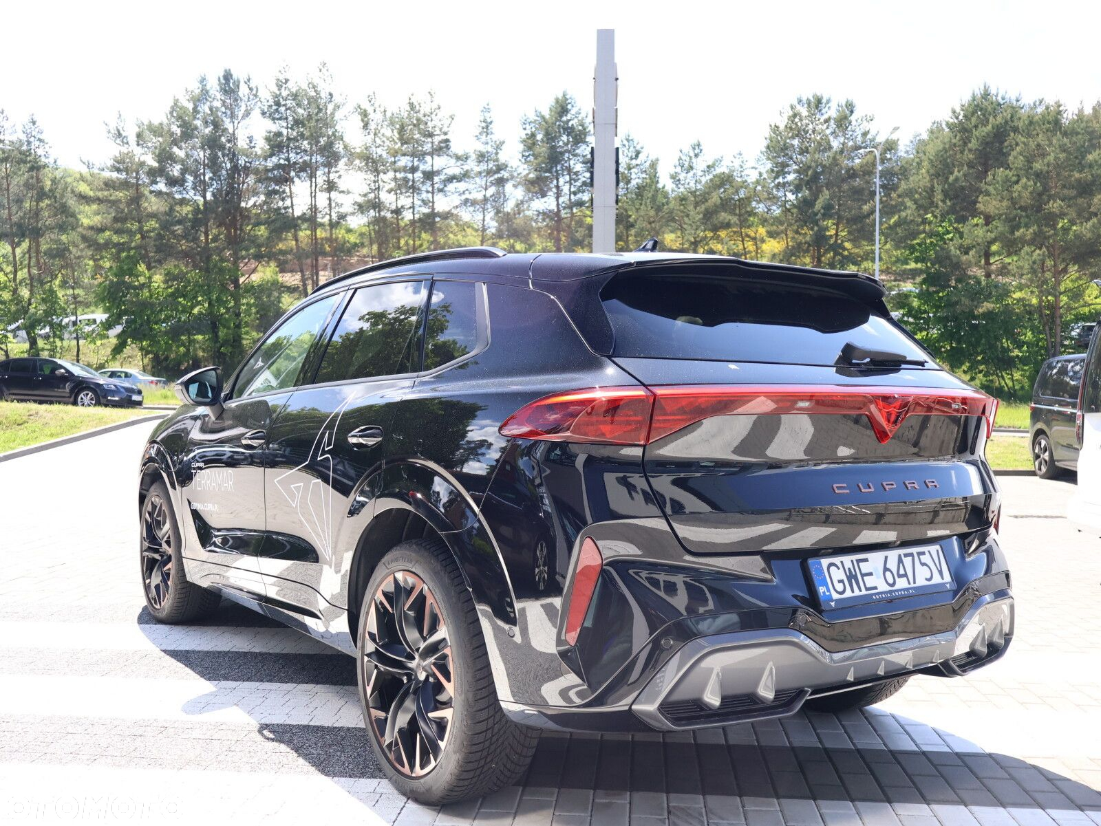Cupra Terramar - 7