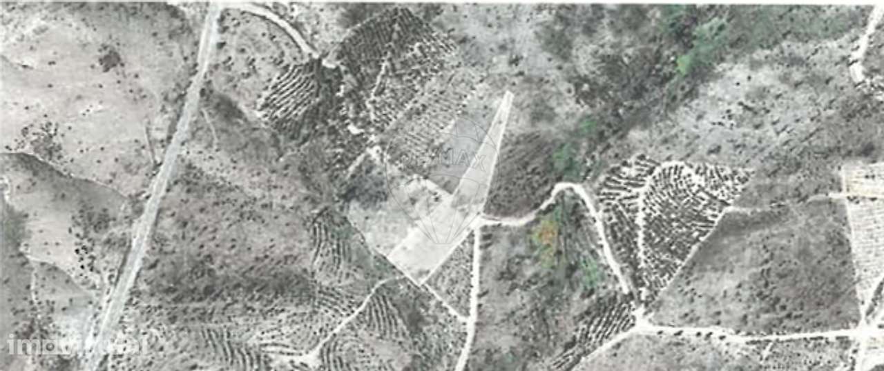 Terreno  para venda - Grande imagem: 3/3