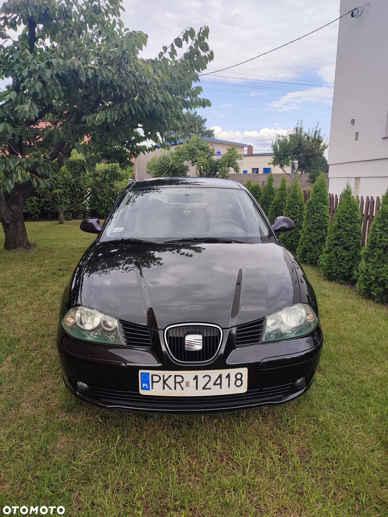 Seat Ibiza 1.4 16V Reference - 1