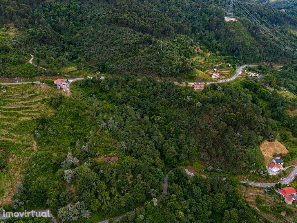 Quinta em Amarante (Gondar) com casa para Restauro - Grande imagem: 5/20