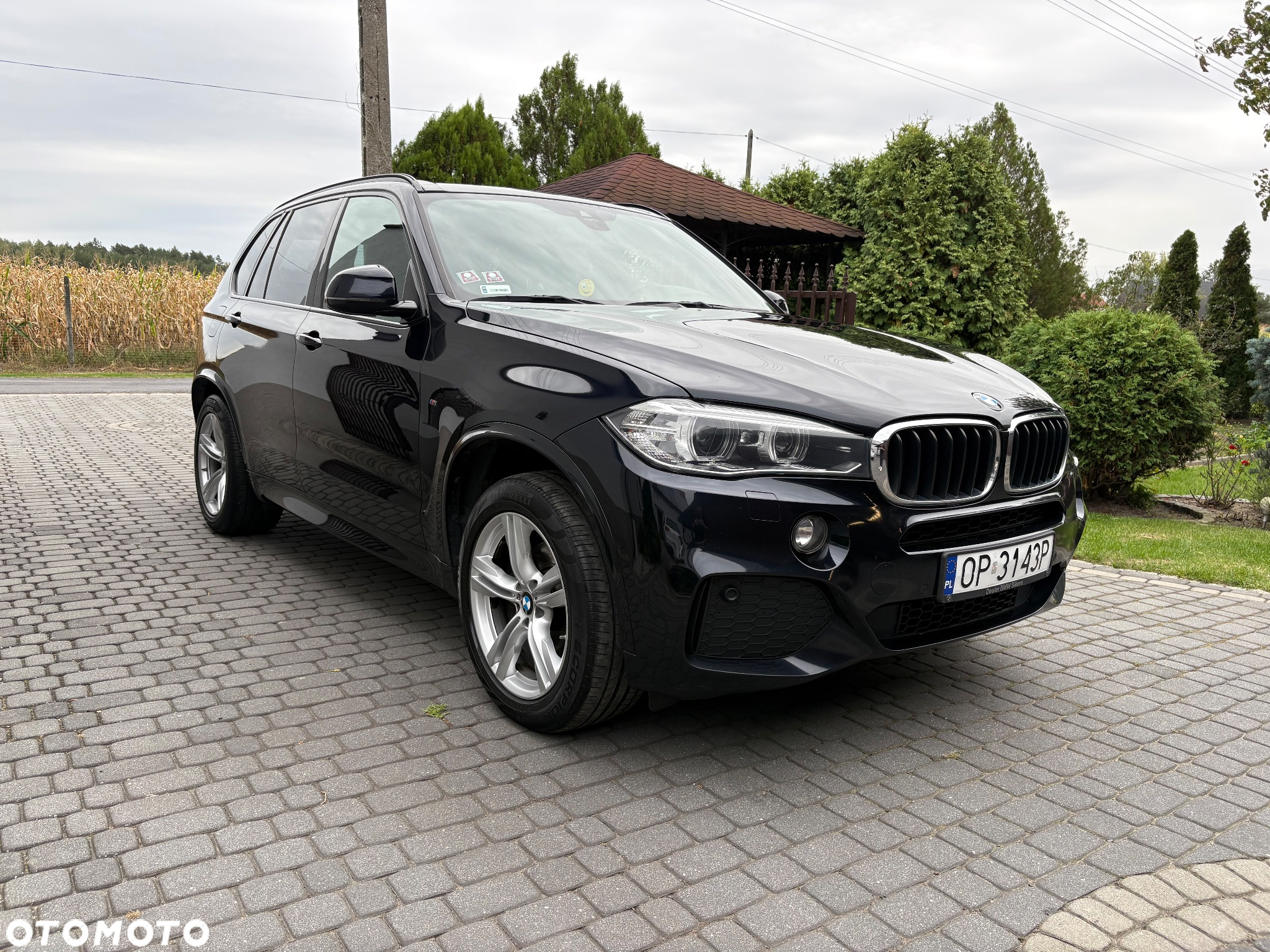 BMW X5 xDrive30d - 2