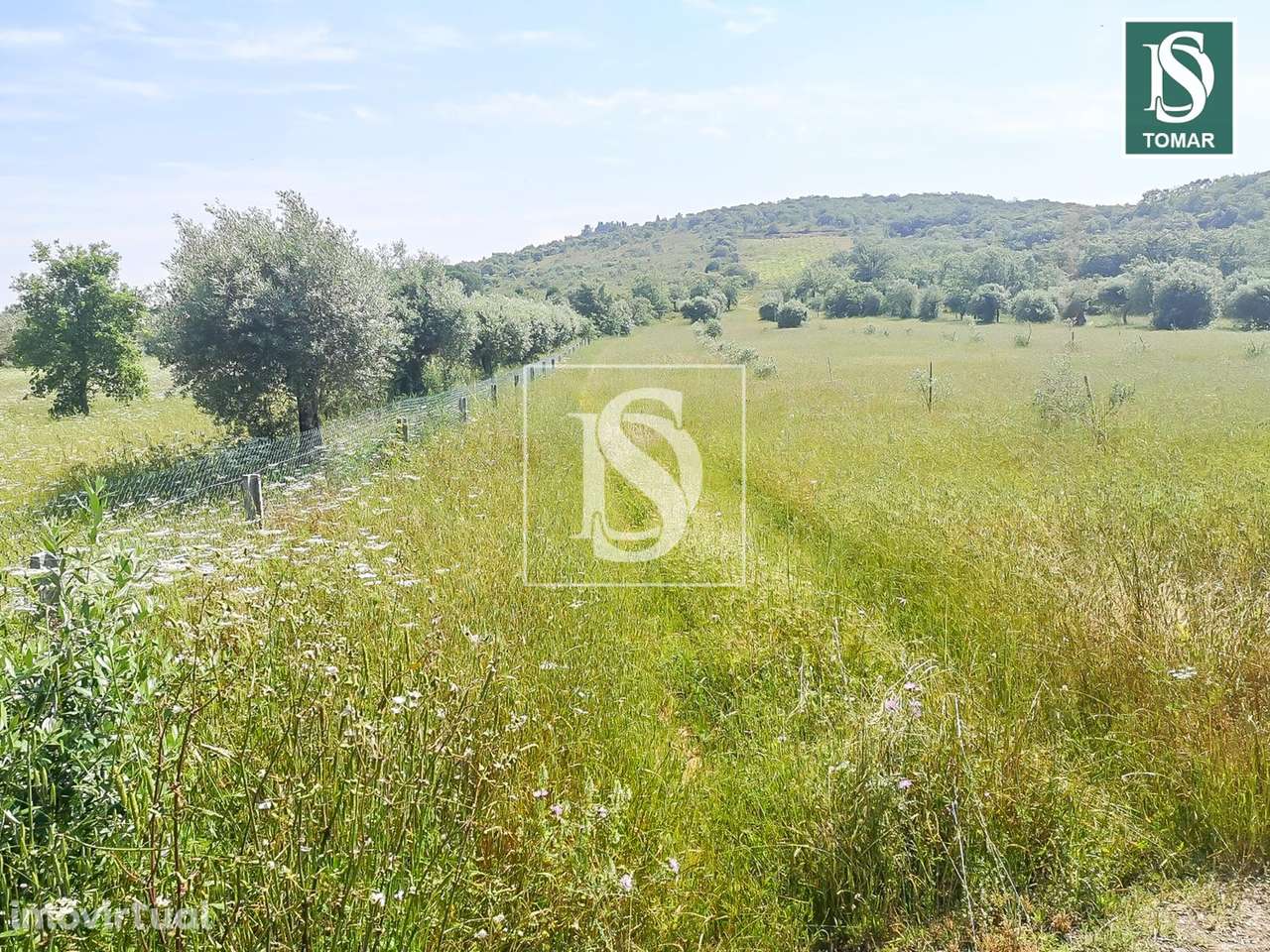 Terreno  Venda em Chãos,Ferreira do Zêzere - Grande imagem: 2/9