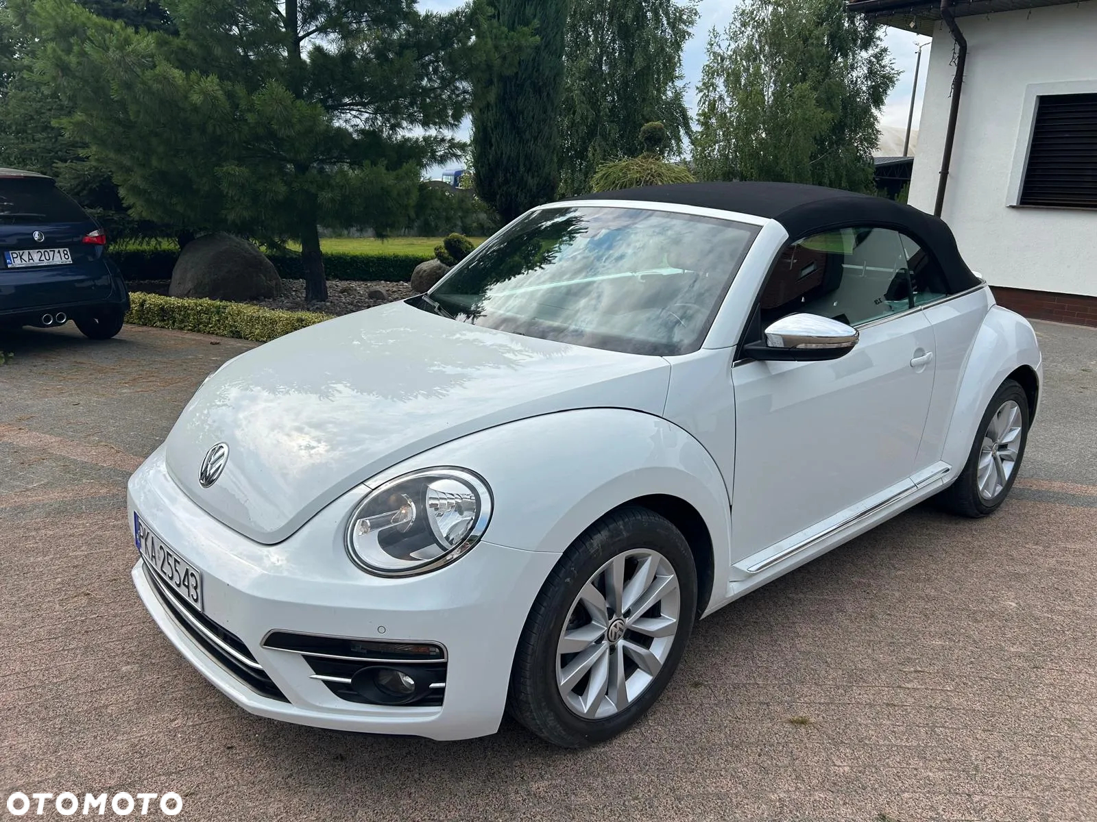 Volkswagen Beetle - 10