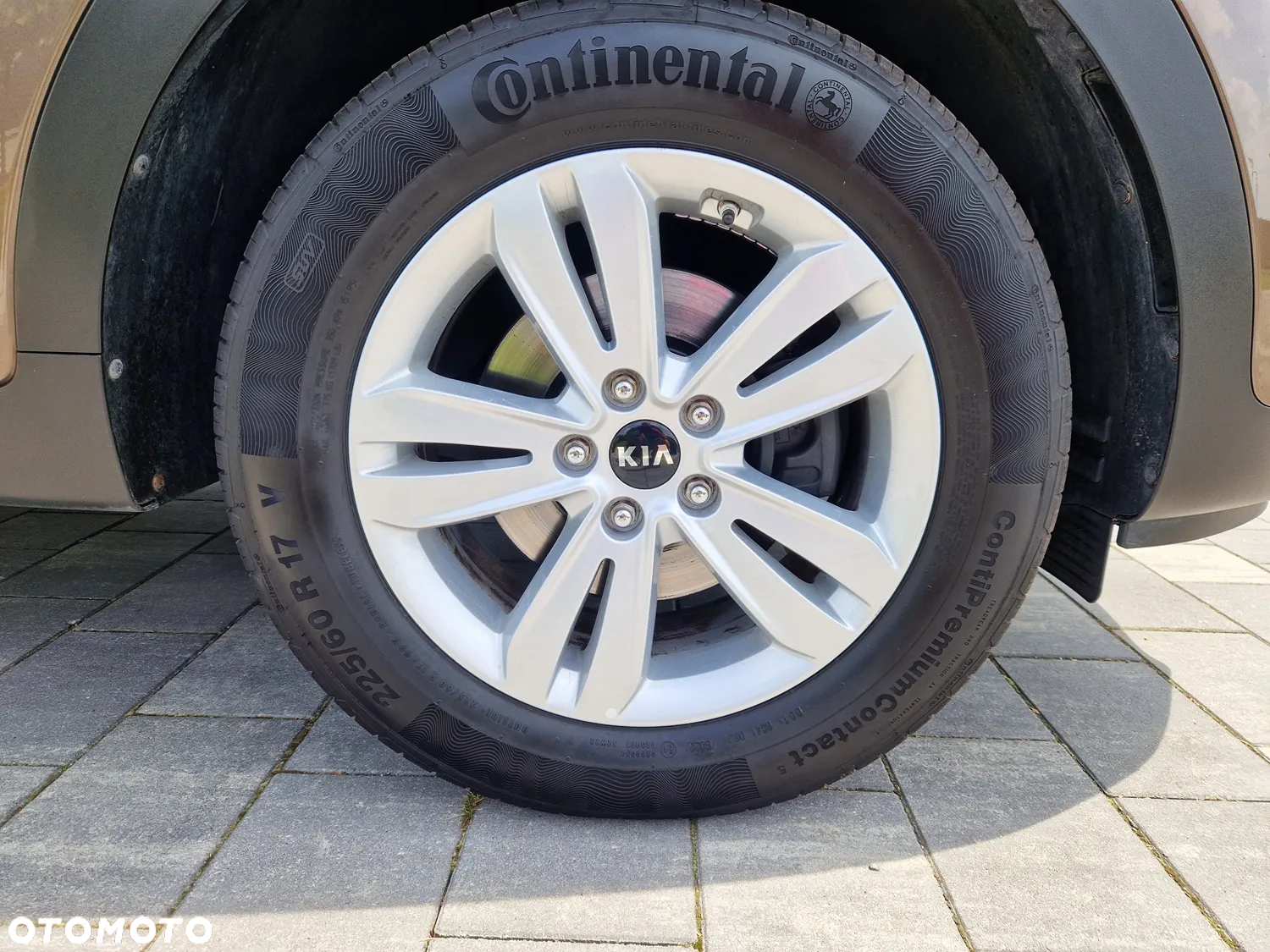 Kia Sportage 1.6 GDI L Business Line 2WD - 39