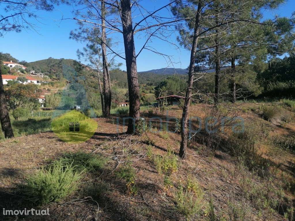 TERRENO RÚSTICO DE 23.970 m² EM MEXILHOEIRA GRANDE - Grande imagem: 2/4