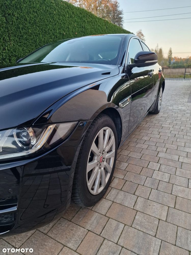 Jaguar XE - 7