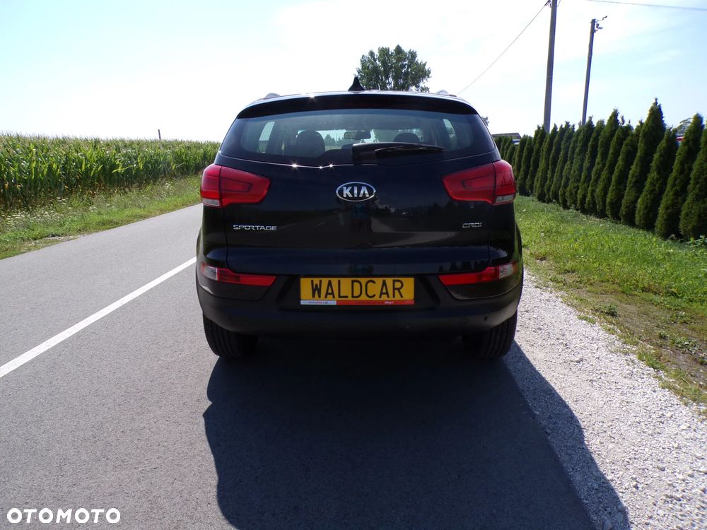 Kia Sportage - 5