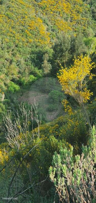 Terreno  para venda - Grande imagem: 3/11