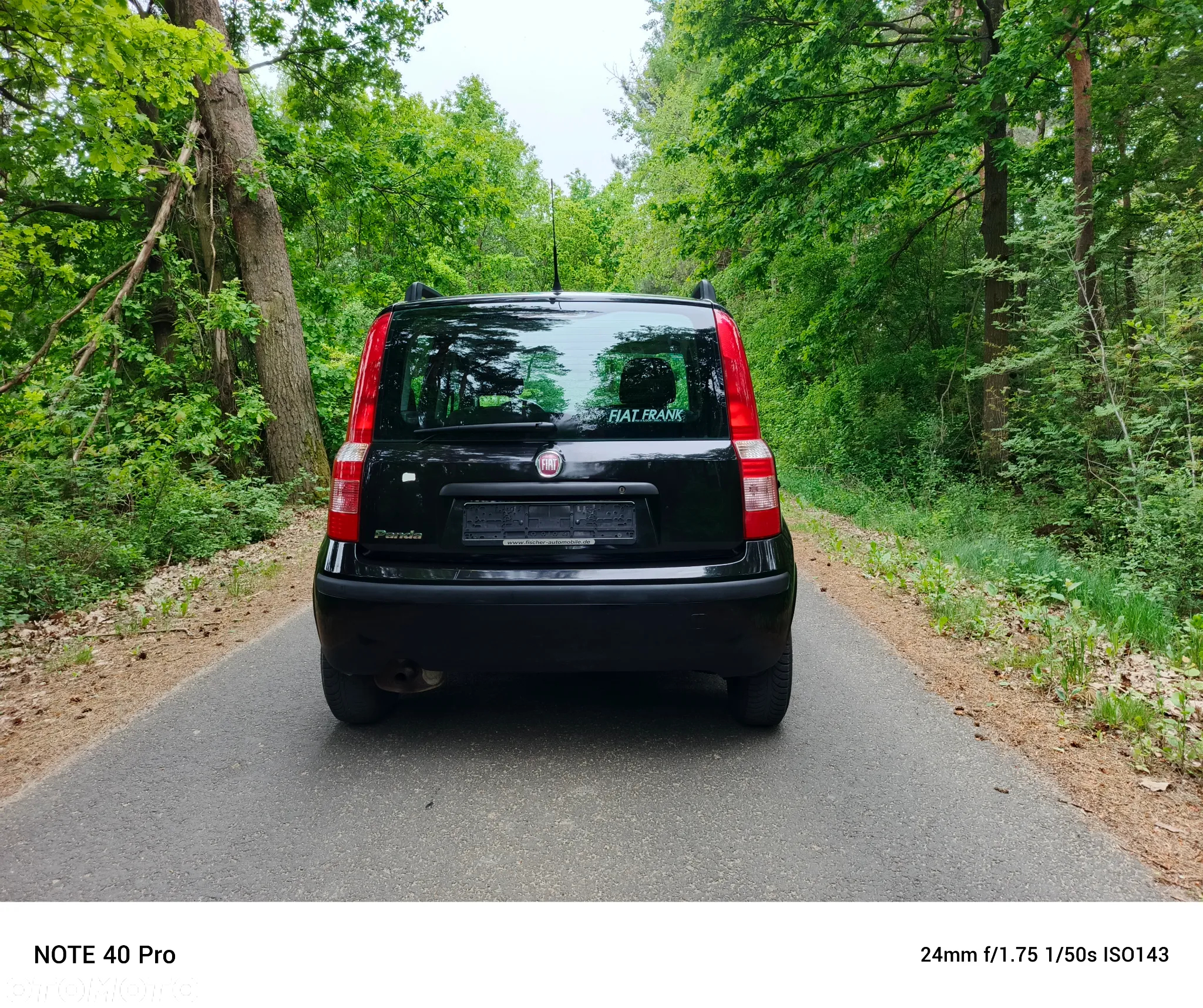 Fiat Panda 1.2 Dynamic Plus - 8