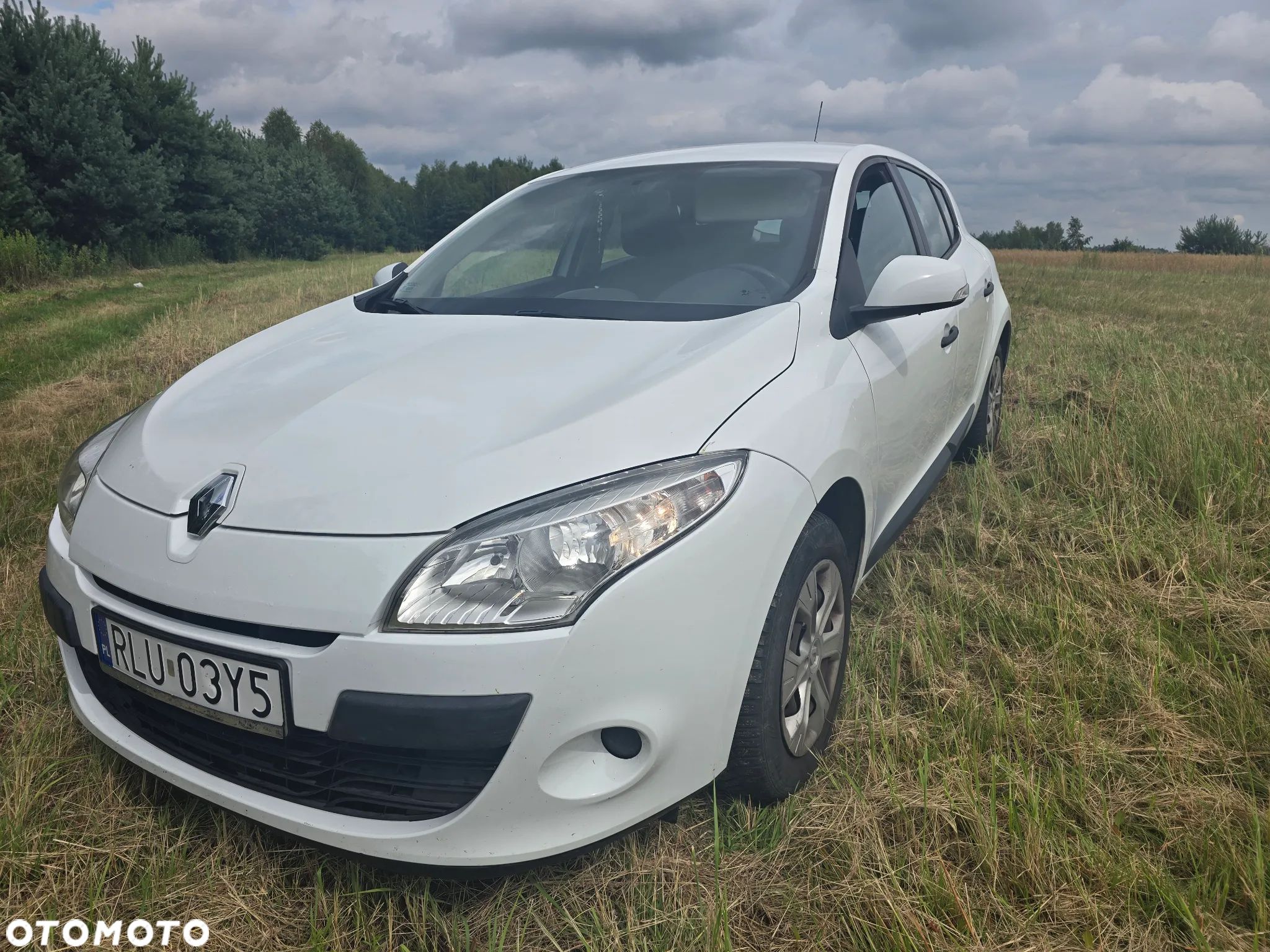Renault Megane - 1