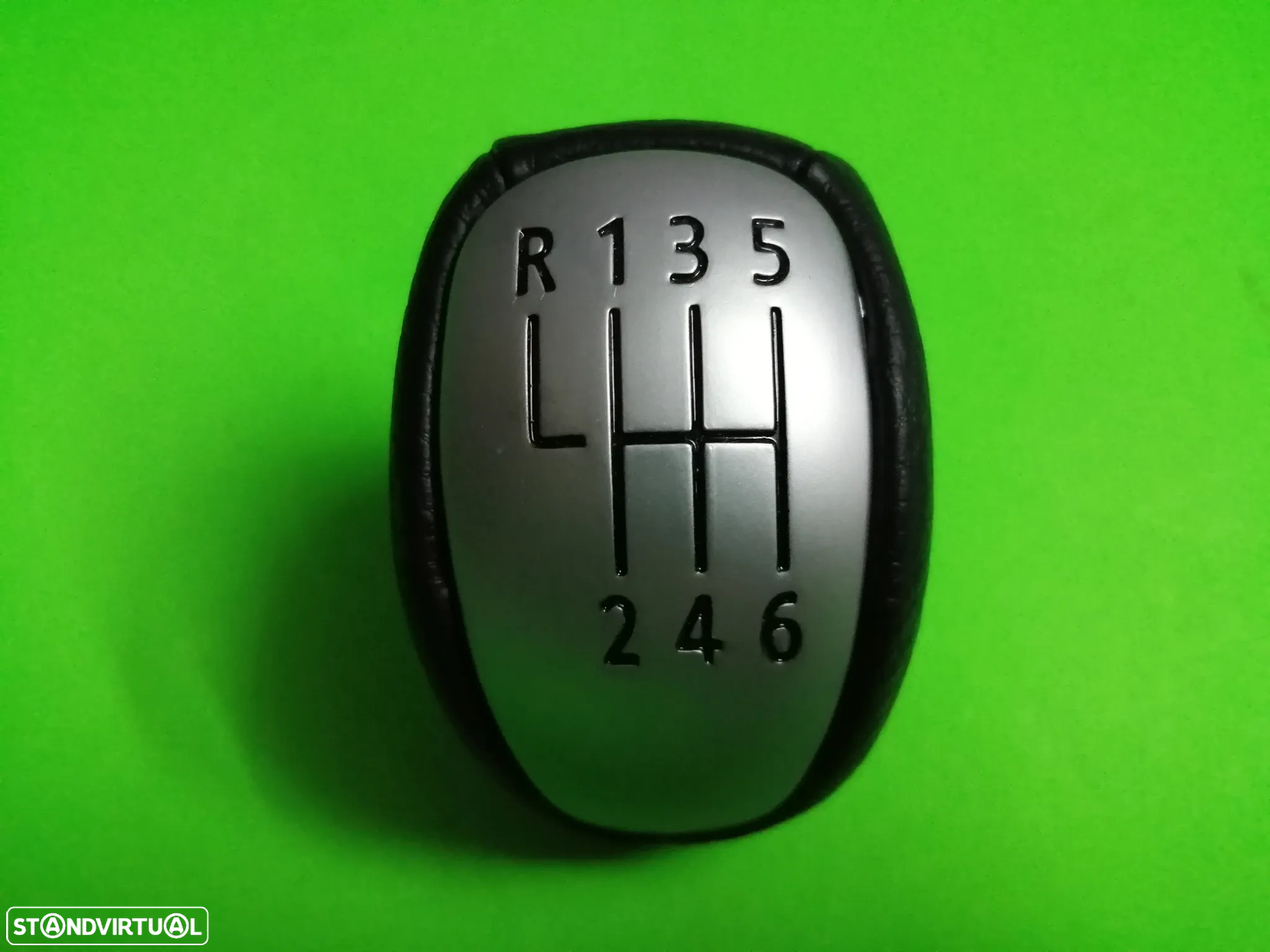 Manete das Mudanças - Renault Laguna III - 2
