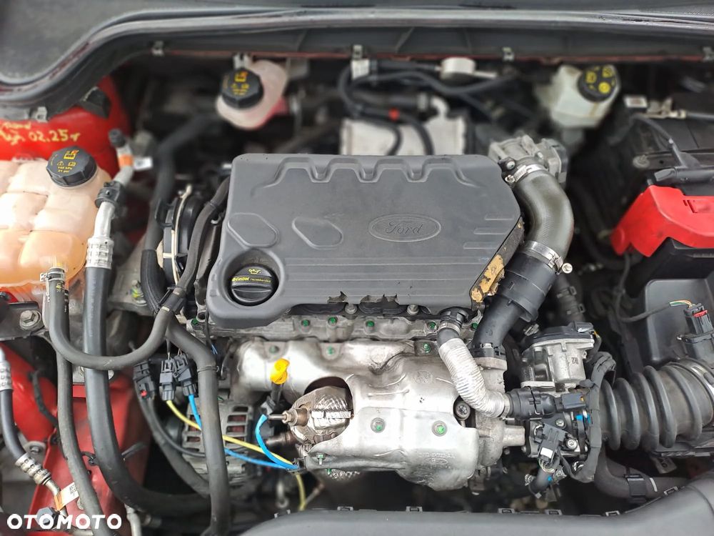 Ford Focus - 19