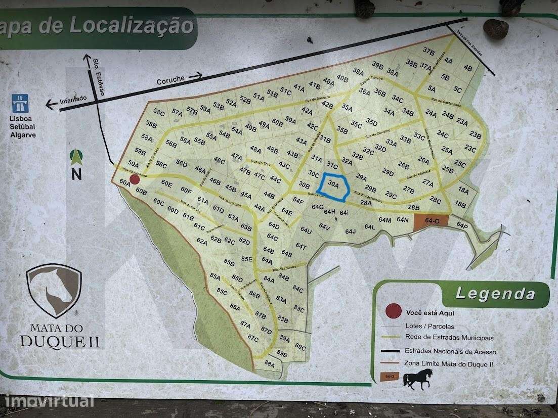 Exclusividade e Natureza: Terreno de Prestígio na Mata do Duque II - S - Grande imagem: 4/20