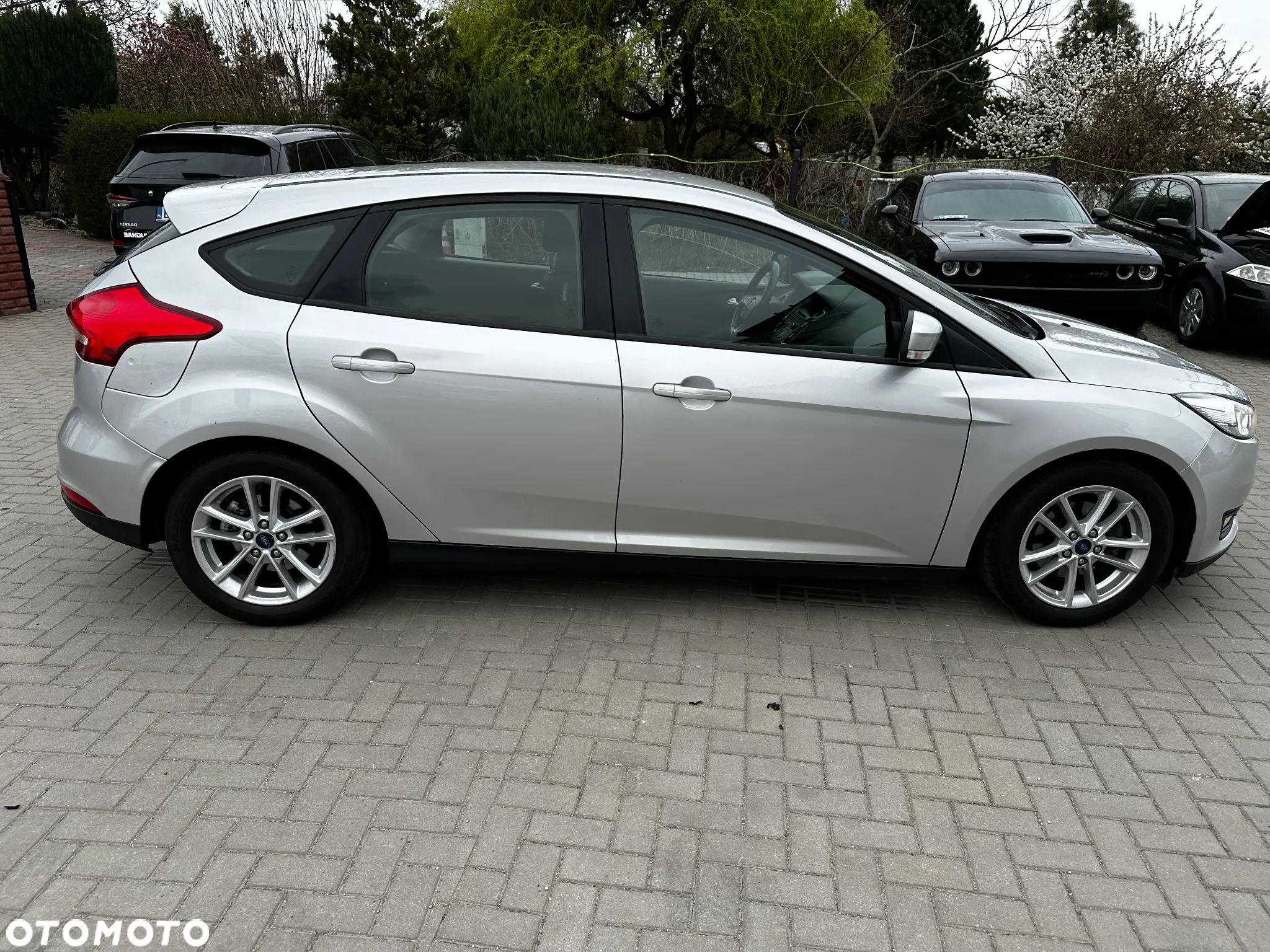 Ford Focus - 35