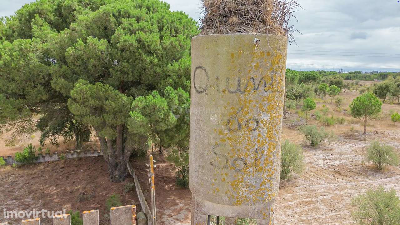 Quinta do Sol - Pegões - Grande imagem: 2/60