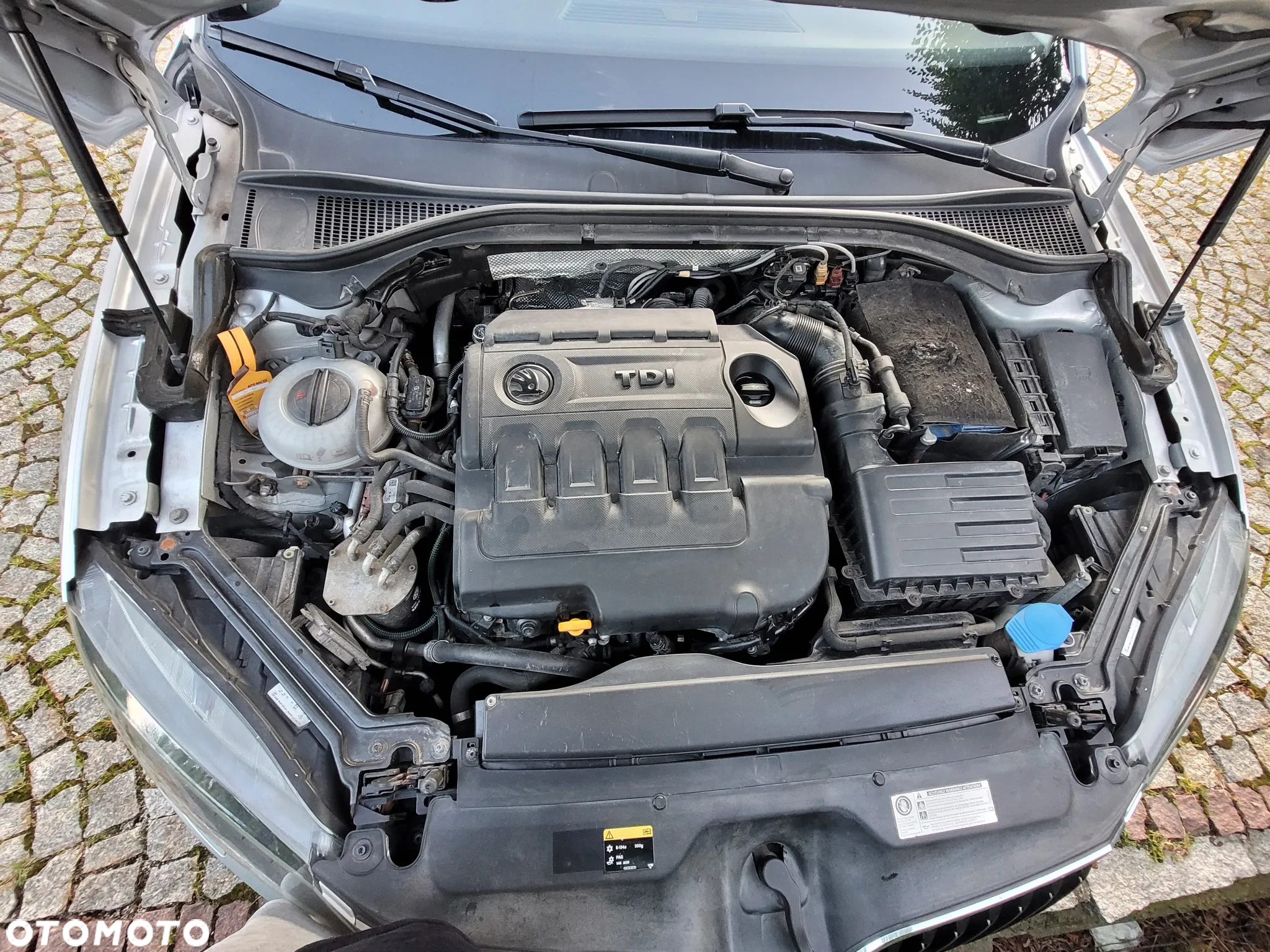Skoda Superb 2.0 TDI 4x4 Ambition DSG - 15