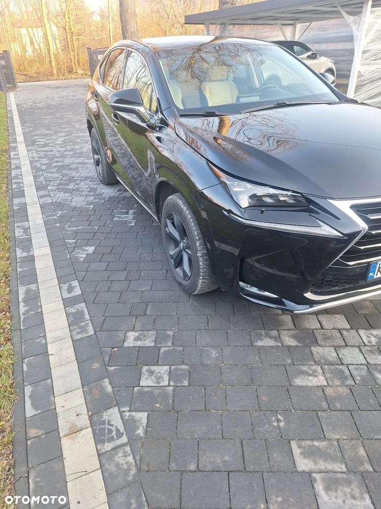 Lexus NX 300h Prestige AWD - 22