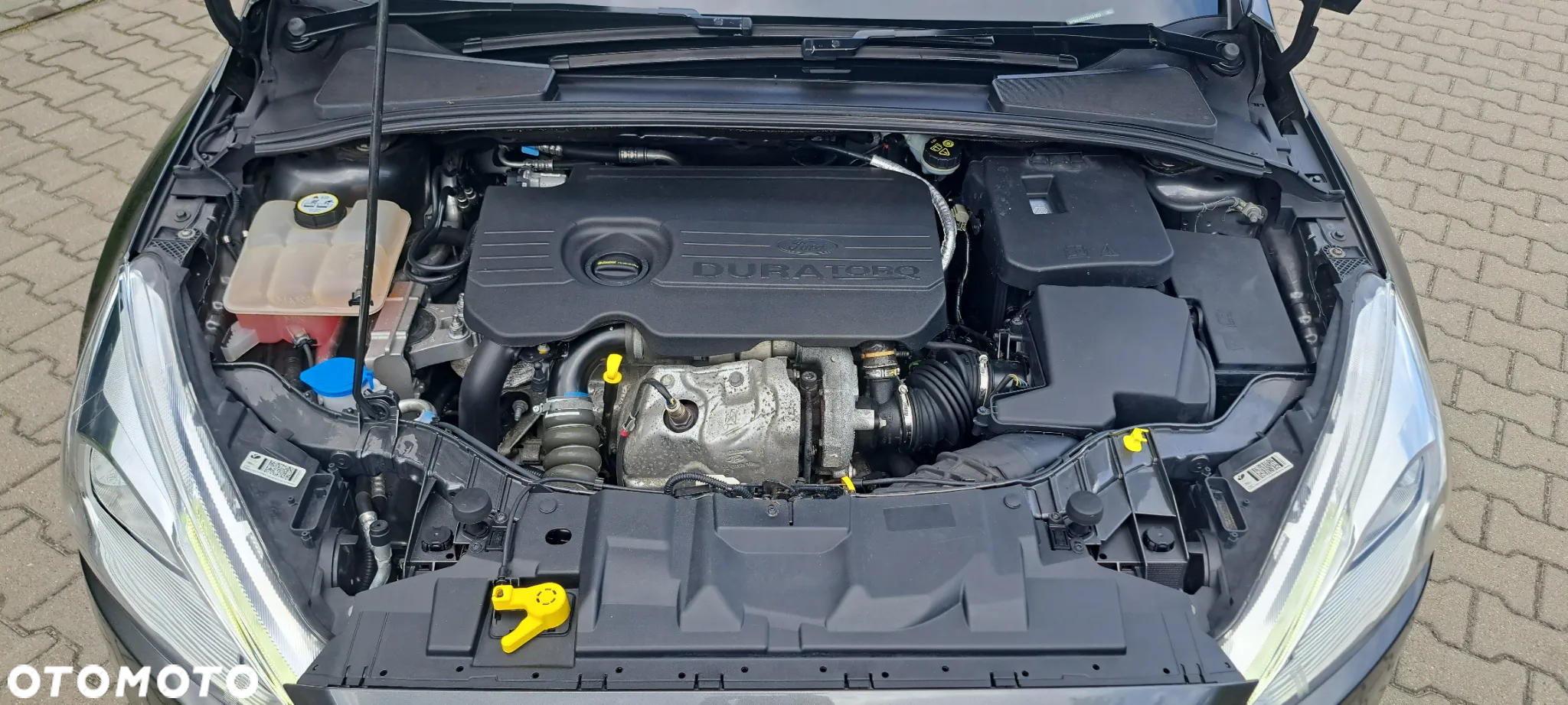 Ford Focus - 32