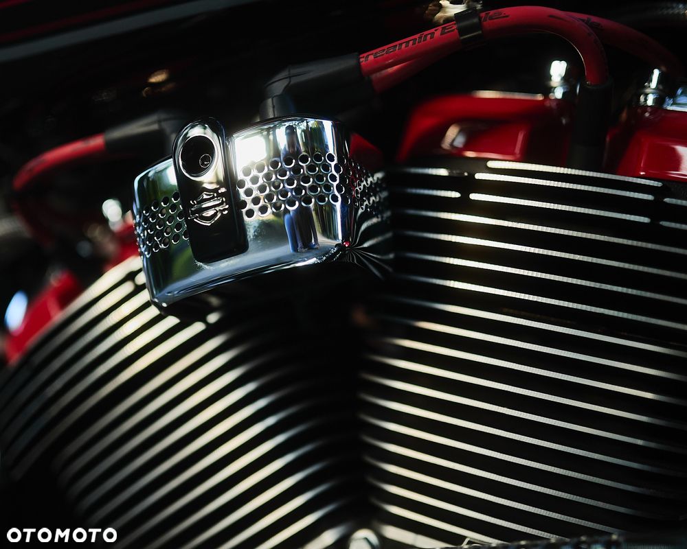Harley-Davidson Softail Custom - 26