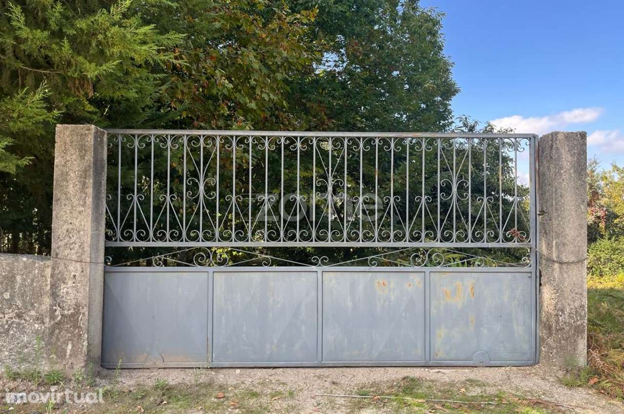 Terreno com 10 000M2 em, Sanfins, Paços de Ferreira - Grande imagem: 3/25
