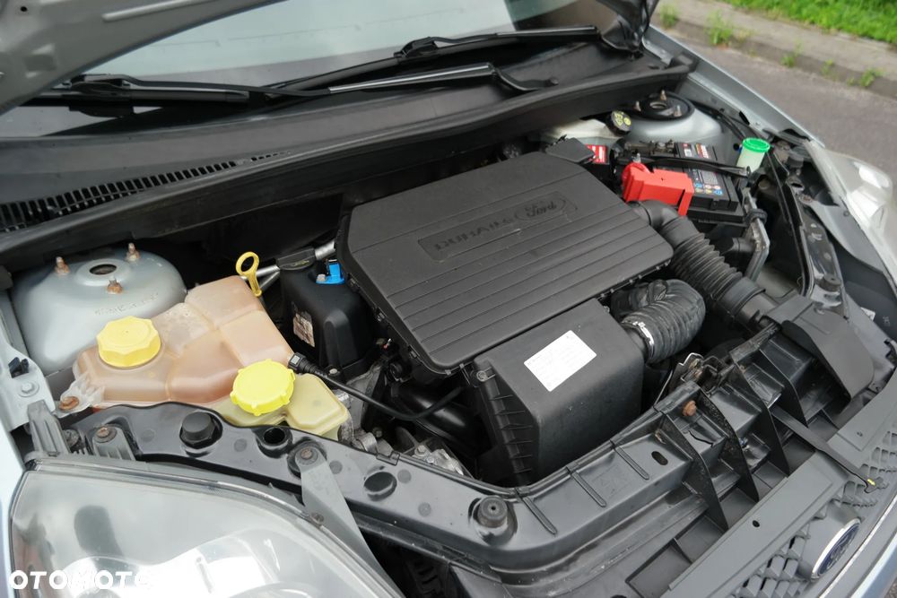 Ford Fiesta - 19