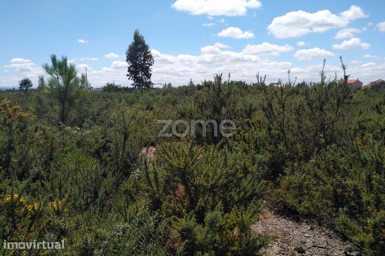 Terreno 2.196m2 em Paranhos - Seia - Grande imagem: 3/15