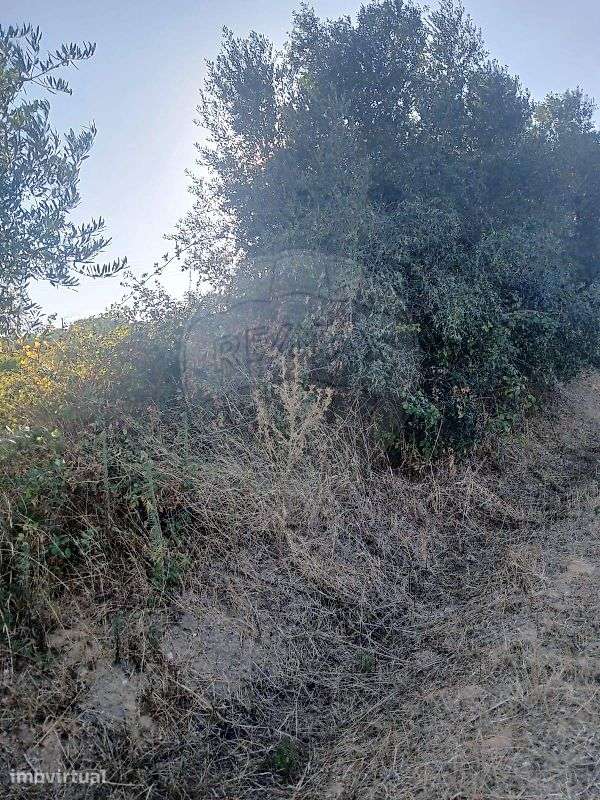 Terreno  para venda - Grande imagem: 2/6