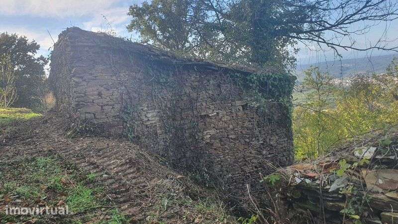 Terreno 1,2 ha com ruínas e viabilidade de construção – Esculca/Côja - Grande imagem: 4/12