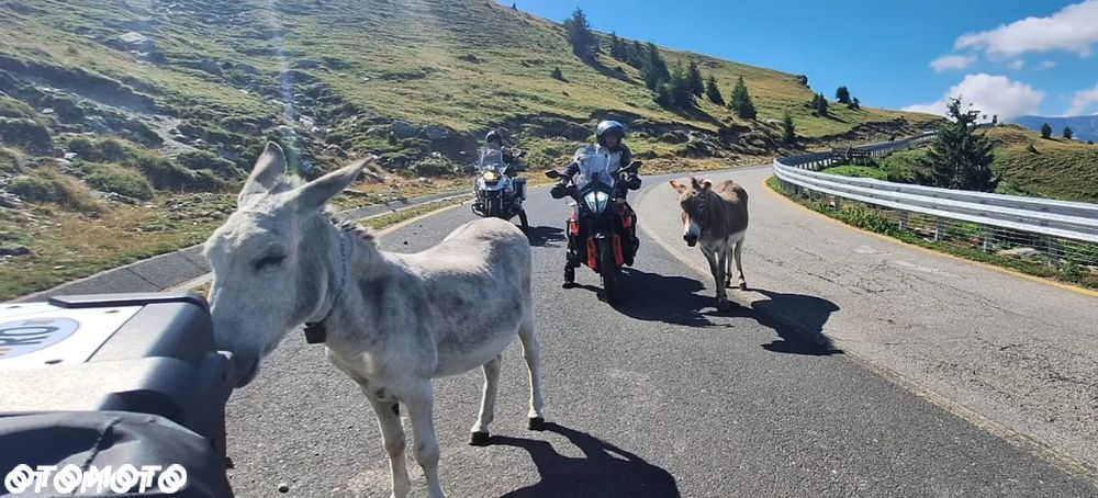 KTM Adventure