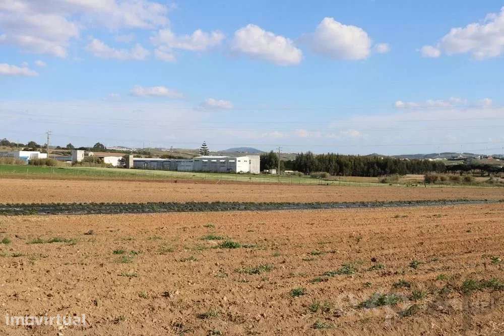 Terreno Industrial em Casalinhos de Alfaiata - Torres Vedras - Grande imagem: 2/4