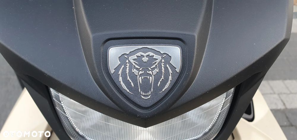 Yamaha Grizzly - 9