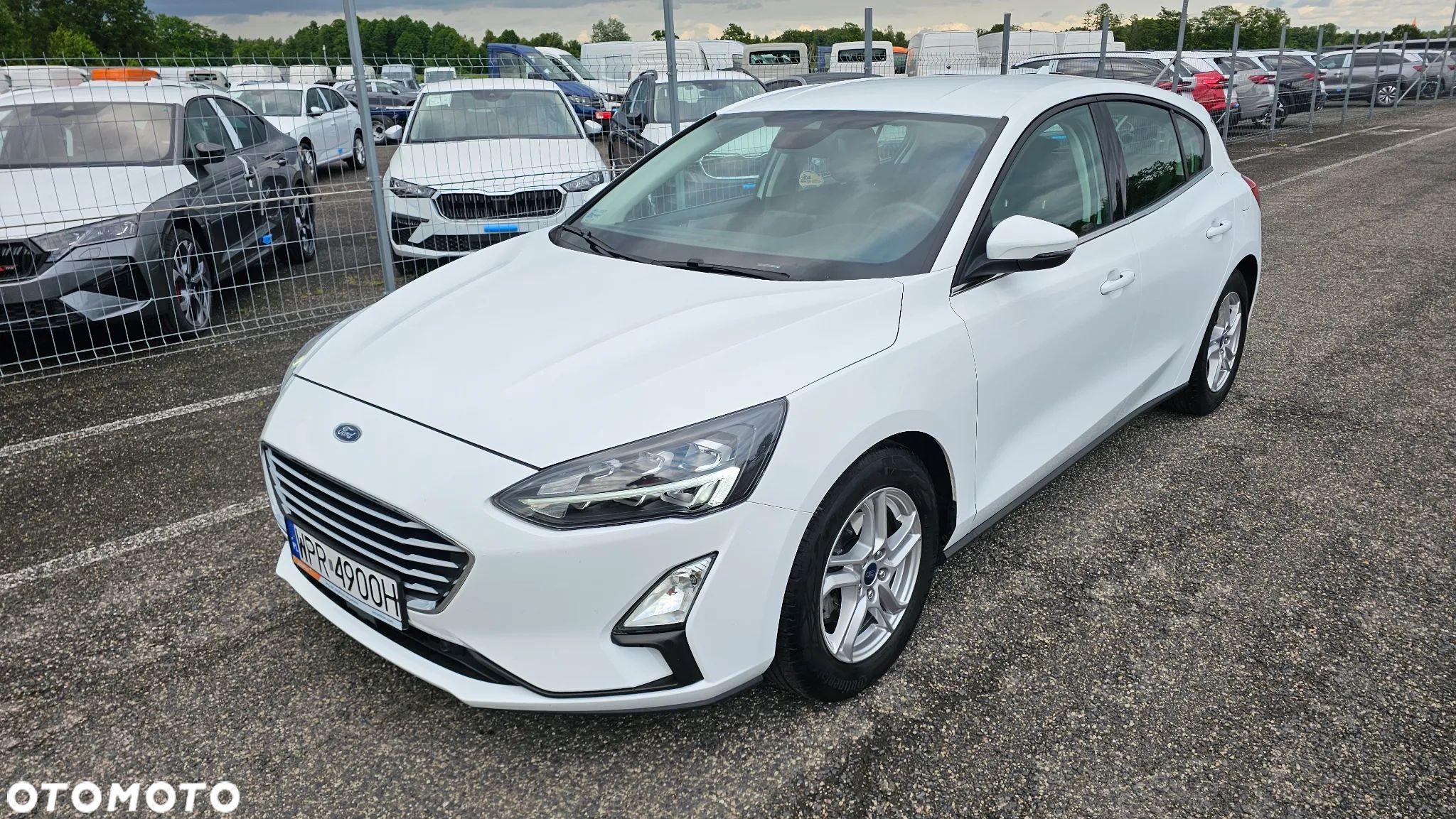 Ford Focus 1.5 EcoBlue Trend Edition Business - 1