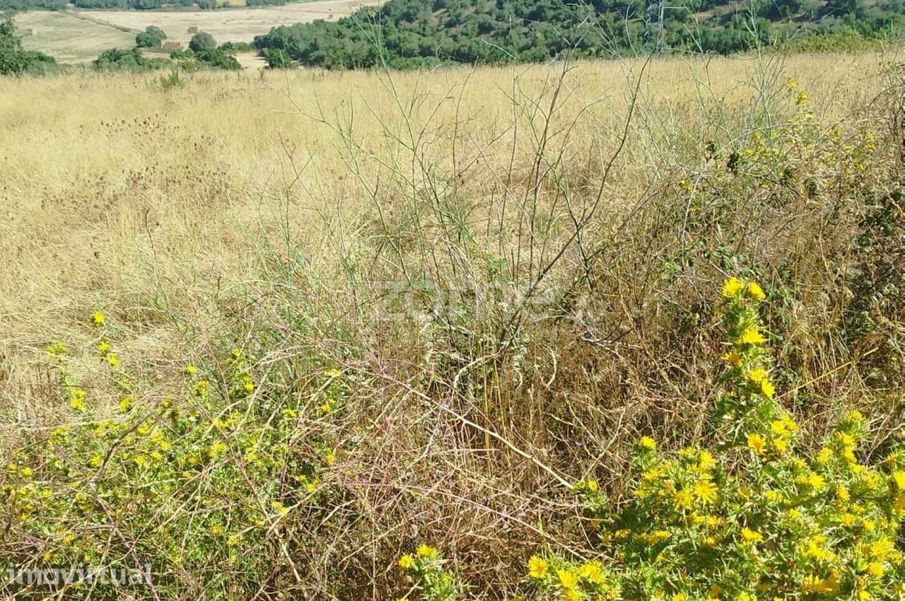 Terreno Urbano 232m2 c/ Ruína em Sintra. Ampliável c/ +2 Terrenos! - Grande imagem: 4/5