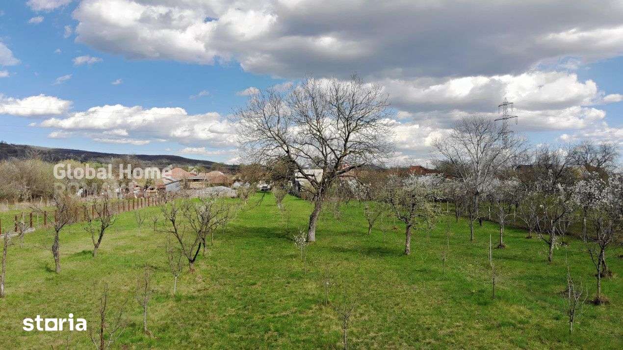 4898 MP Teren Intravilan | Prahova - Cornu De Jos | Toate Utilitatile - Imagine principală: 3/7