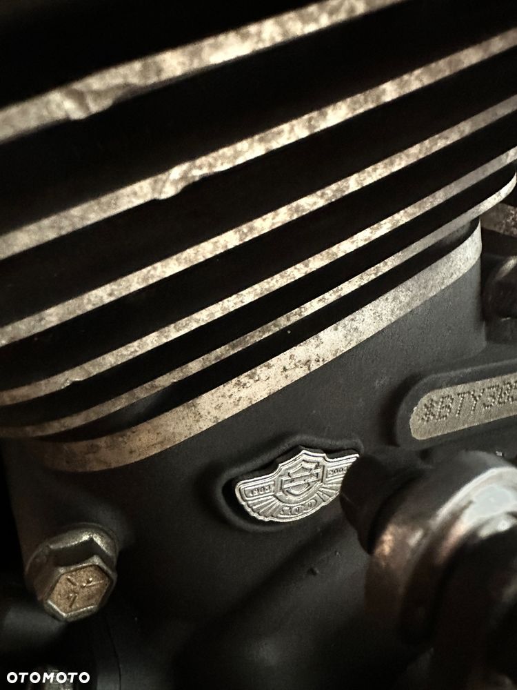 Harley-Davidson Softail Custom - 11