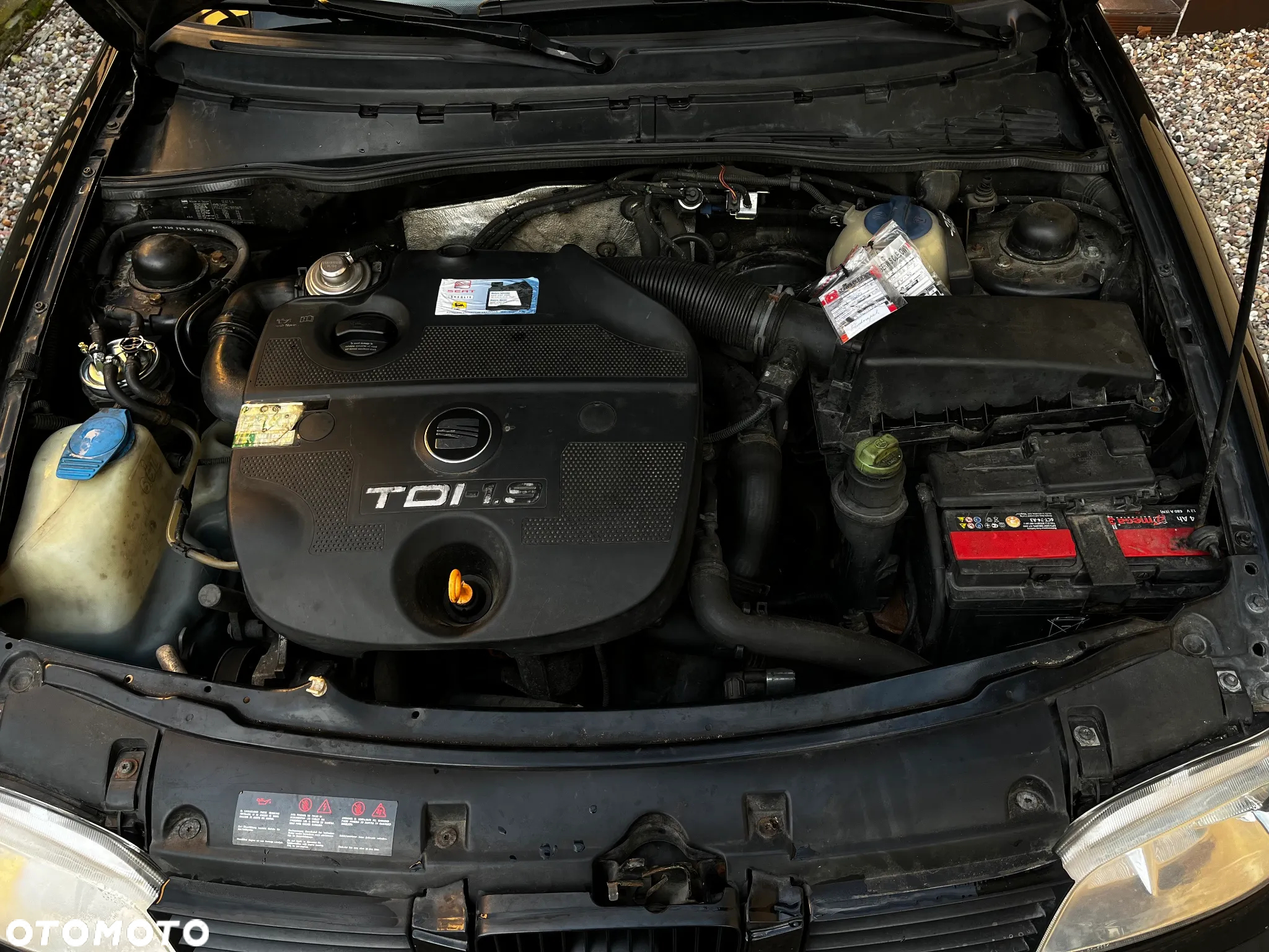 Seat Ibiza - 10